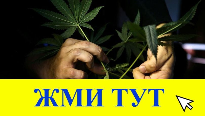 Купить наркотики в Тольятти